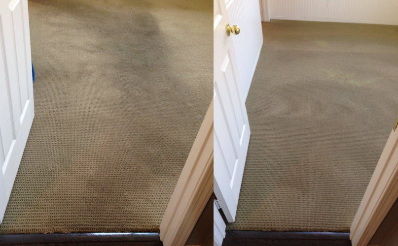 Carpet Cleaning Carmel Valley
